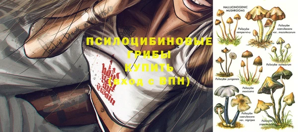 молекула духа Баксан