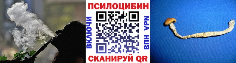 Псилоцибиновые грибы Cubensis  Озёрск 