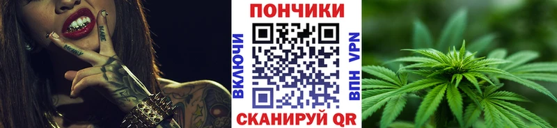 где купить наркотик  Озёрск  Шишки марихуана SATIVA & INDICA 